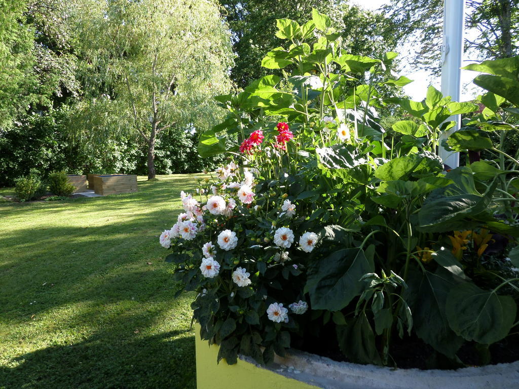 Skogis Bed & Breakfast Katrineholm Dış mekan fotoğraf