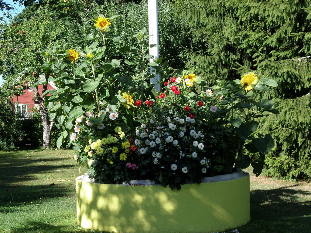 Skogis Bed & Breakfast Katrineholm Dış mekan fotoğraf