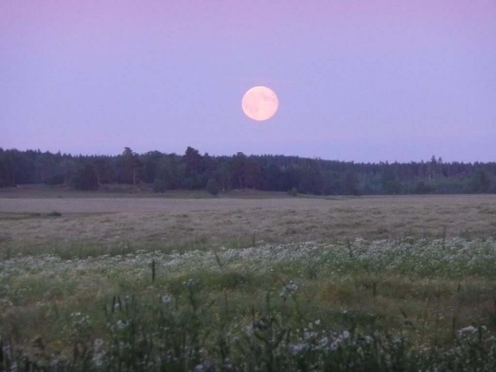 Skogis Bed & Breakfast Katrineholm Dış mekan fotoğraf