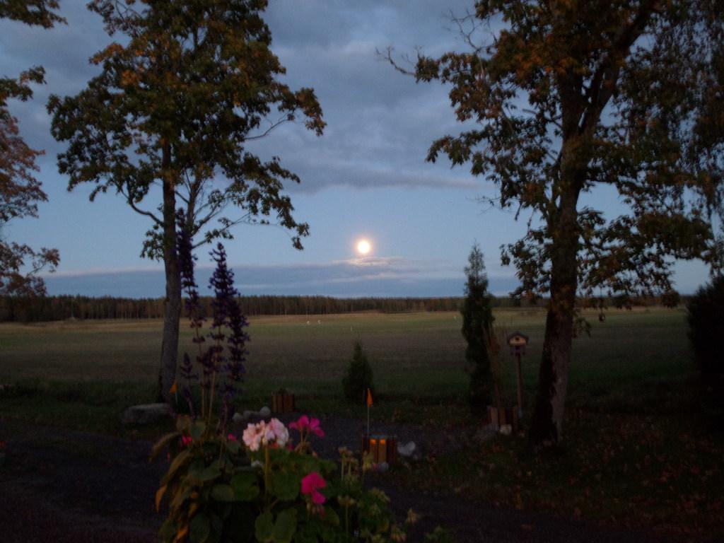 Skogis Bed & Breakfast Katrineholm Dış mekan fotoğraf